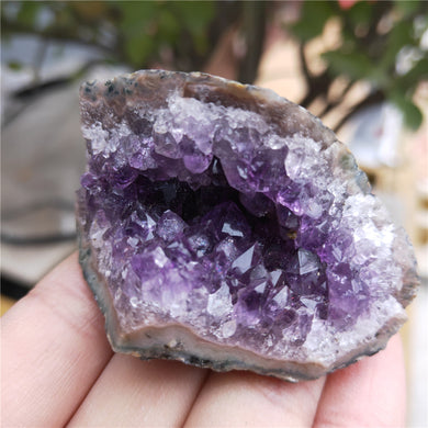 Natural Brazil Amethyst Geode Cluster